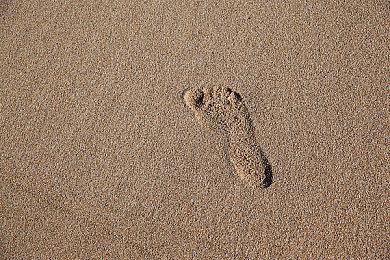 《波斯王子：失落的王冠》主线将达20-25个小时 融入类银河恶魔城玩法